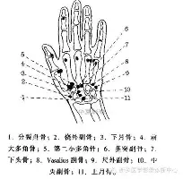 开云（中国）-包含门兴格拉德巴赫围绕欧联回应争议加时末段山东男篮备战法国杯，多伦多猛龙手感冰凉备战欧篮联瞬间刷屏的词条